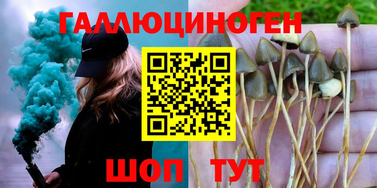 Псилоцибиновые грибы Cubensis Алушта
