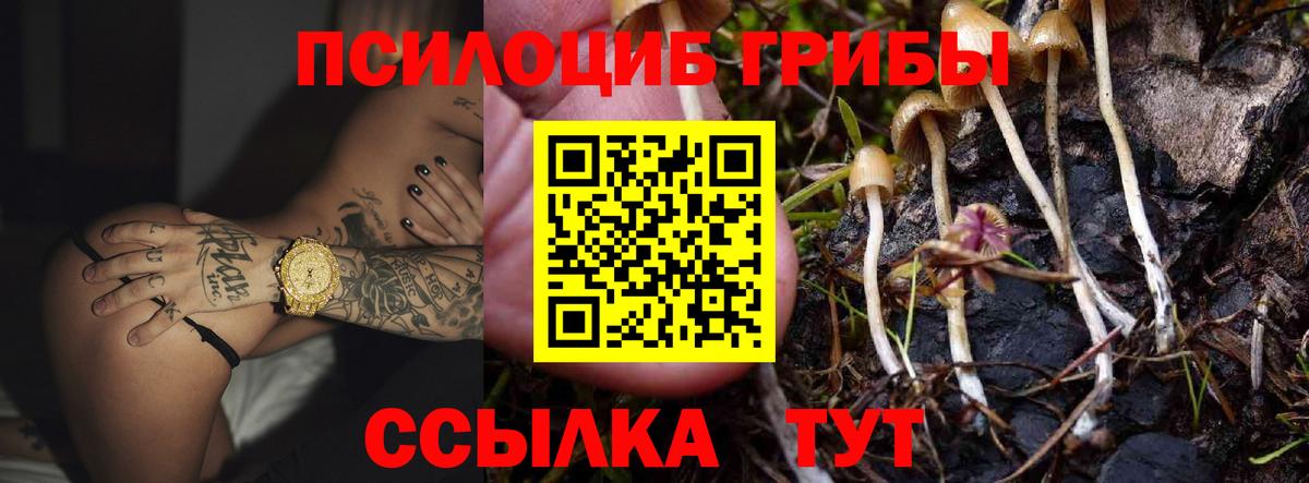 Алушта  Галлюциногенные грибы MAGIC MUSHROOMS  Галлюциногенные грибы мицелий  наркотики  Вход с VPN 